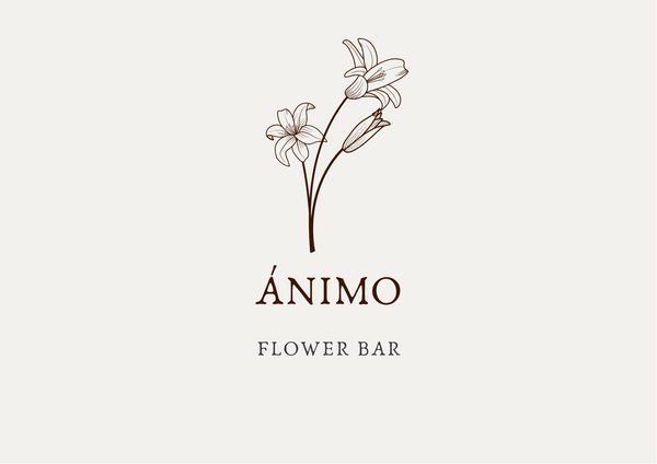 Ánimo